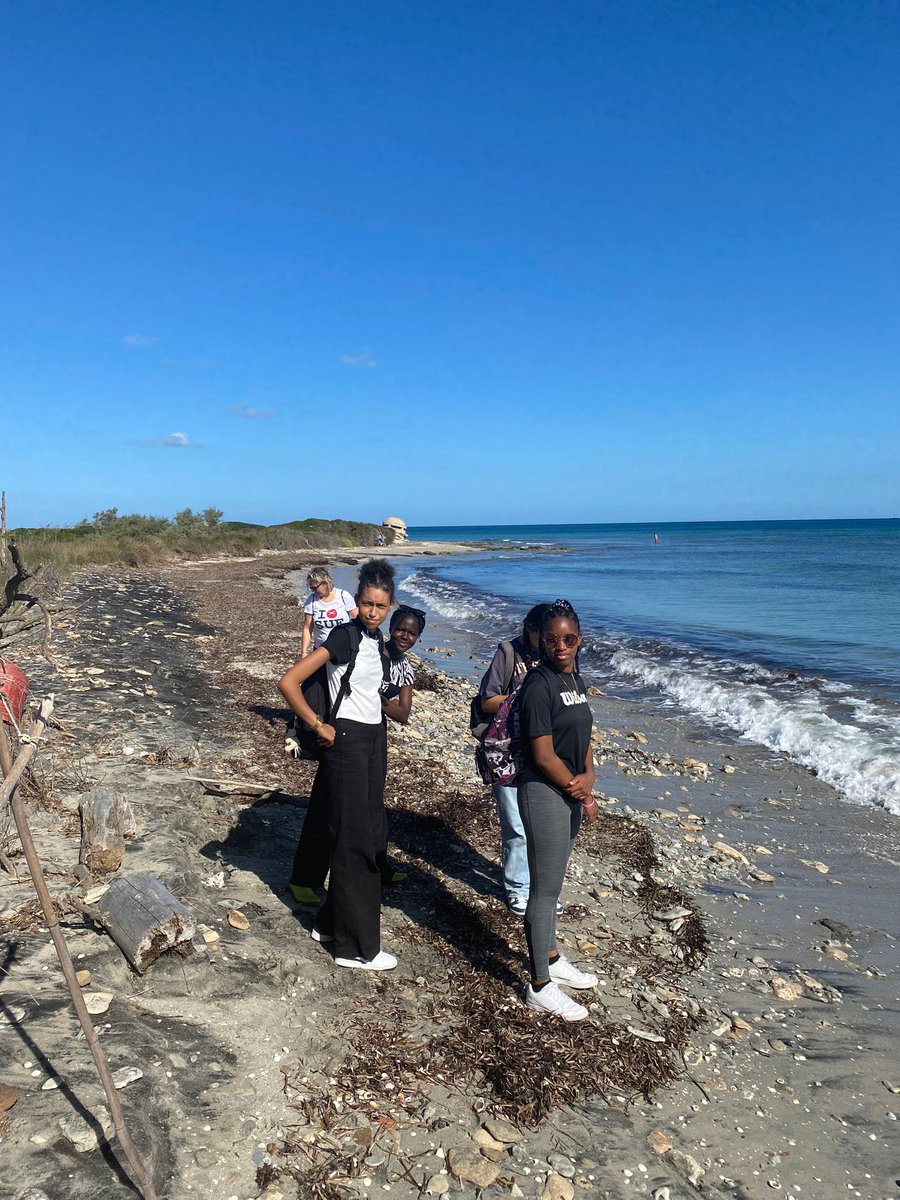 GO! Atheneum MXM tweet media