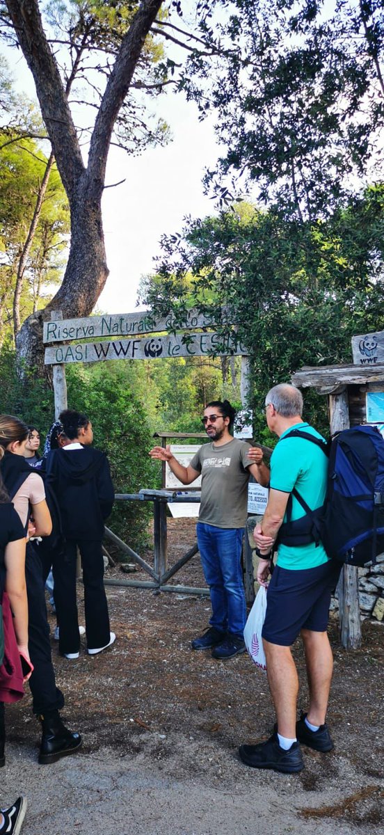 GO! Atheneum MXM tweet media