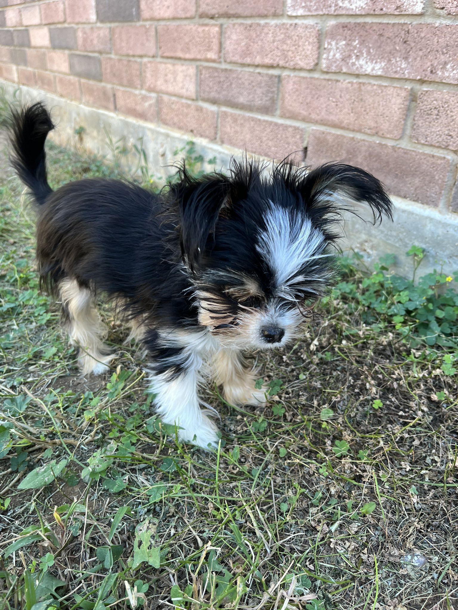 Mike Saucier🇺🇸🇺🇸🇺🇸🇺🇸🇺🇸🇺🇸🇺🇸 (saucier12) / Twitter