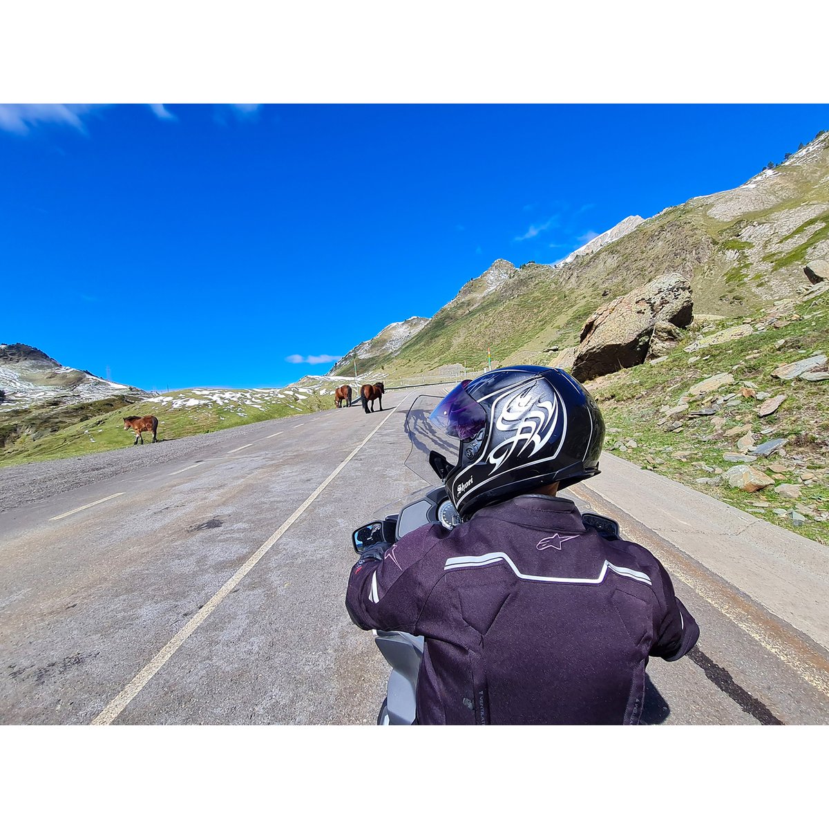 DibujanteJuanma's tweet photo. 2/10/2022-Fin de semana, recorriendo una pequeña parte del pirineo Catalan. Bonitos lugares, buenos momentos, que en tu compañía se vuelven extraordinarios
#vielha #andorra #sort #elpontdesuert #lapobladesegur #tremp #colldenargo #moto #turismo https://t.co/la5d6zPrBf