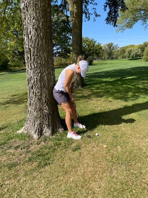 123bgrimm's tweet photo. @platteviewgc when you've taken a few 8s in a row and you need a backrest.... https://t.co/Kk9JT4RQRb