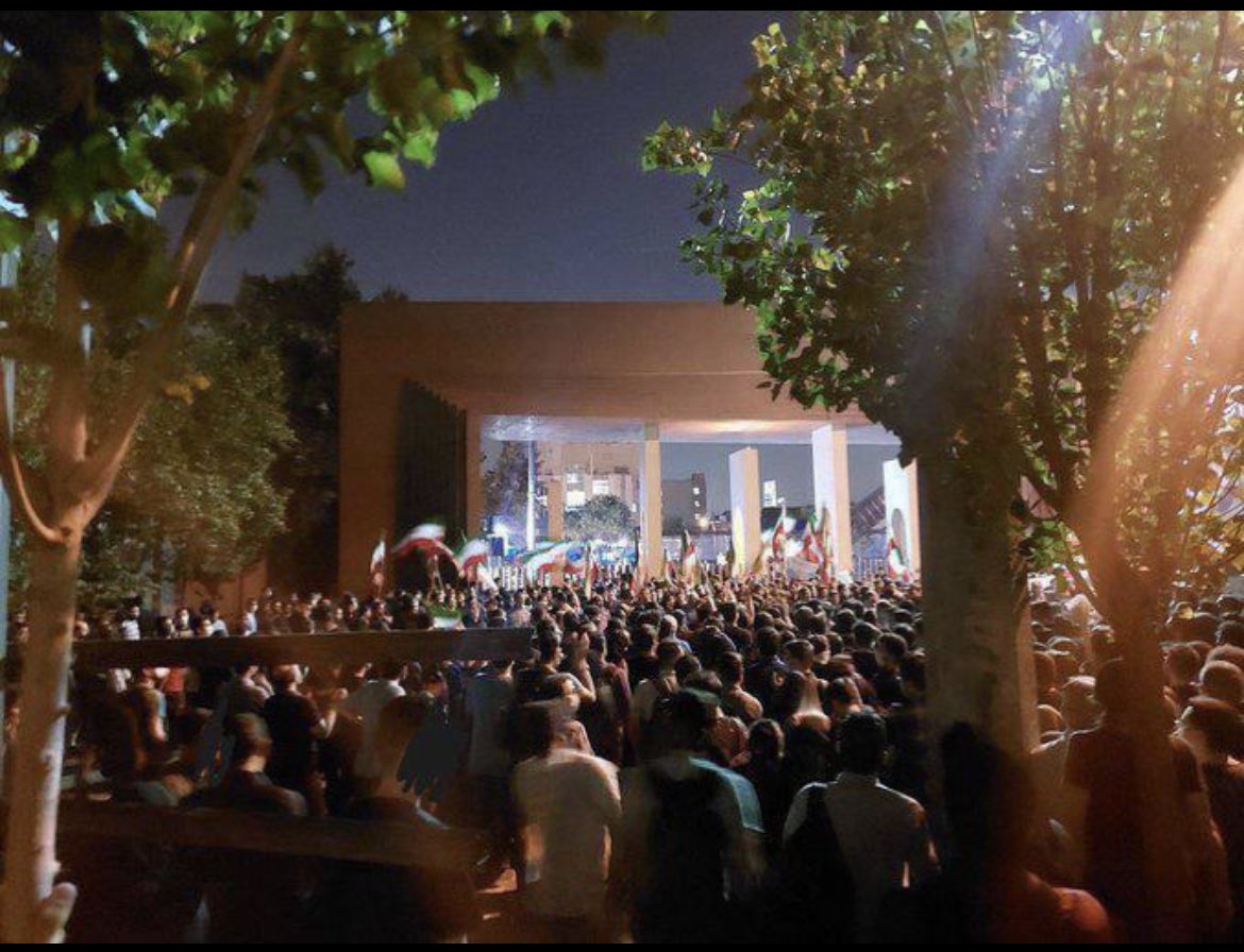Shoura Hashemi tweet media