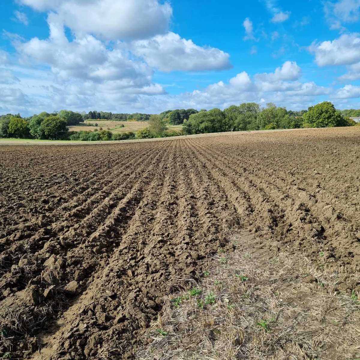 Dan Hawes tweet media