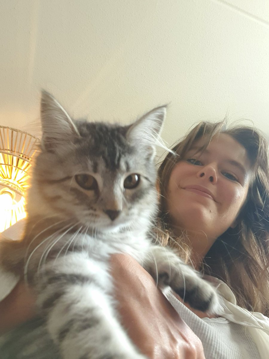 Annemijn_'s tweet photo. Kitten gekaapt 🐈 https://t.co/Hk1ZDtUr5j