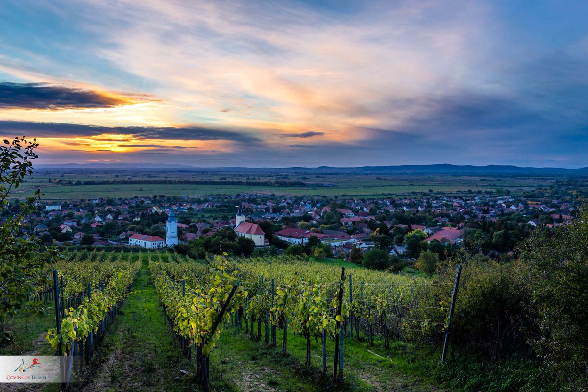 covinnus's tweet photo. No better day to visit the #Tokaj area than a lovely autumn afternoon.

#Hungary #vineyards #nature #tours #travel #phototours #photography #sunset #rural #CovinnusTravel https://t.co/ZfNrQKbyiY