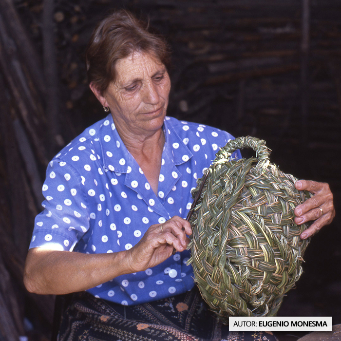 EugenioMonesma's tweet photo. Natividad era la única mujer en 1999 que había mantenido hasta entonces la técnica de recolección y #trenzado del "#berceo" para confeccionar #cestas y otros complementos. Su experiencia y artesanía no debía caer en el olvido.

📽️ #DOCUMENTAL COMPLETO: https://t.co/p4fBaeEHa5 https://t.co/LIVpVT72qg