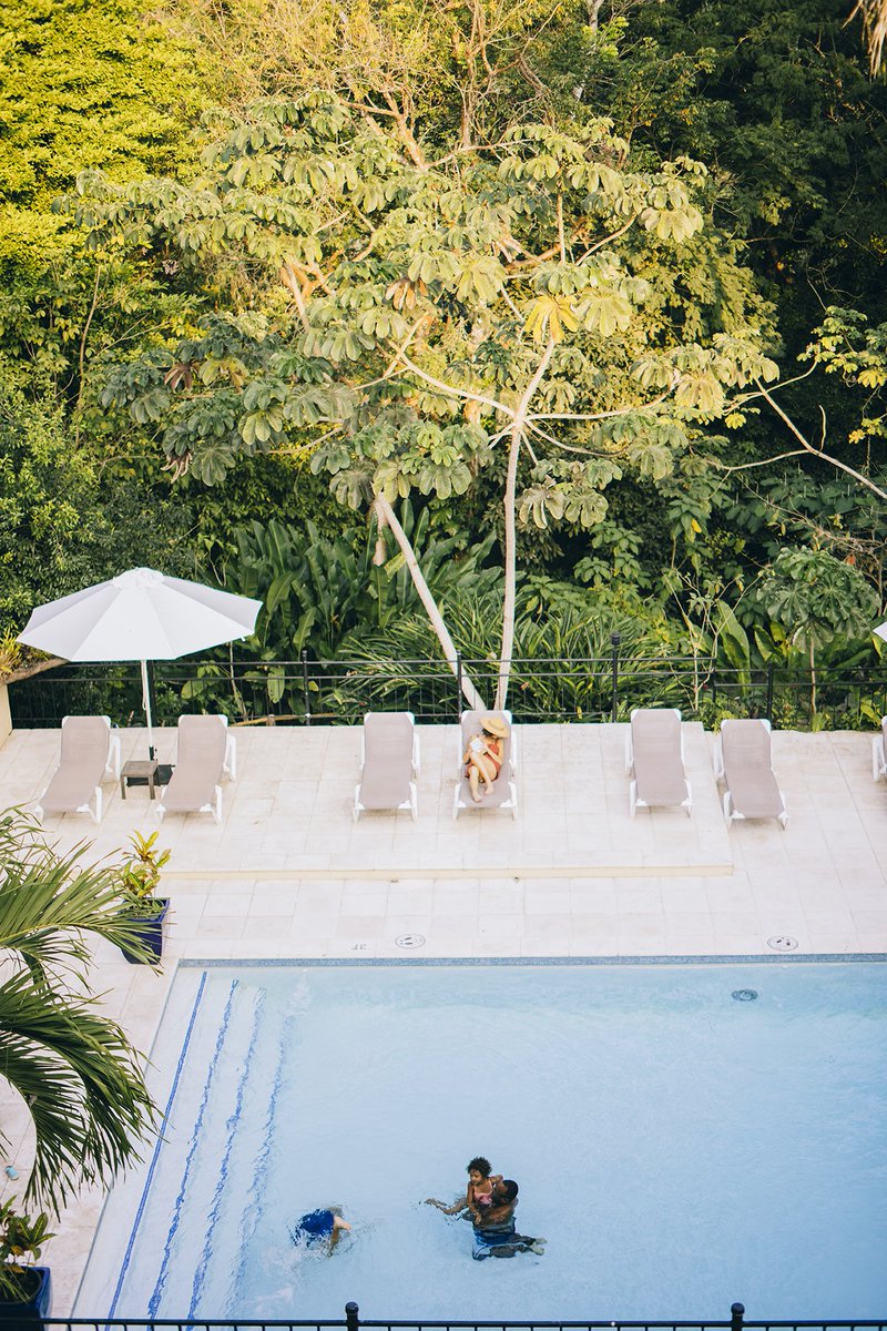 sanignaciobz's tweet photo. Spend your next vacation at the only jungle in town, lounging by the pool surrounded by the sounds of nature 🌴

 #sanignacioresort #sunnydays #belize #boutiqueresort #relax #jungleview #theonlyjungleintown #sun #happiness #views https://t.co/pJIqhacwN7