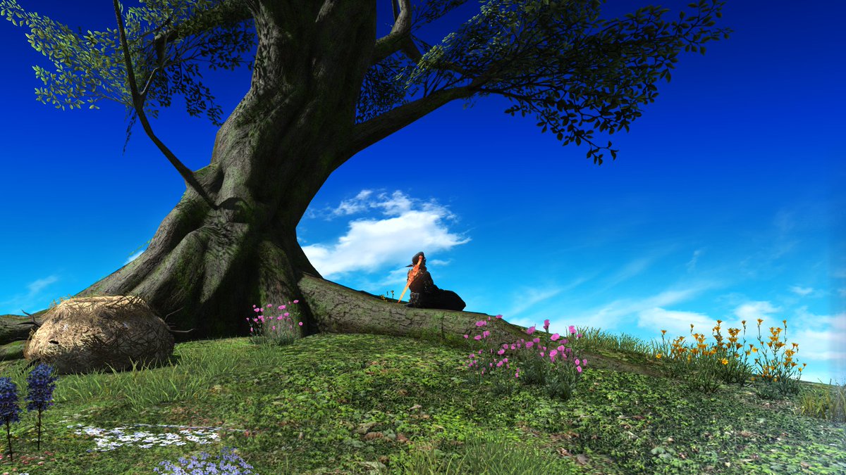 tyregoth tweet picture