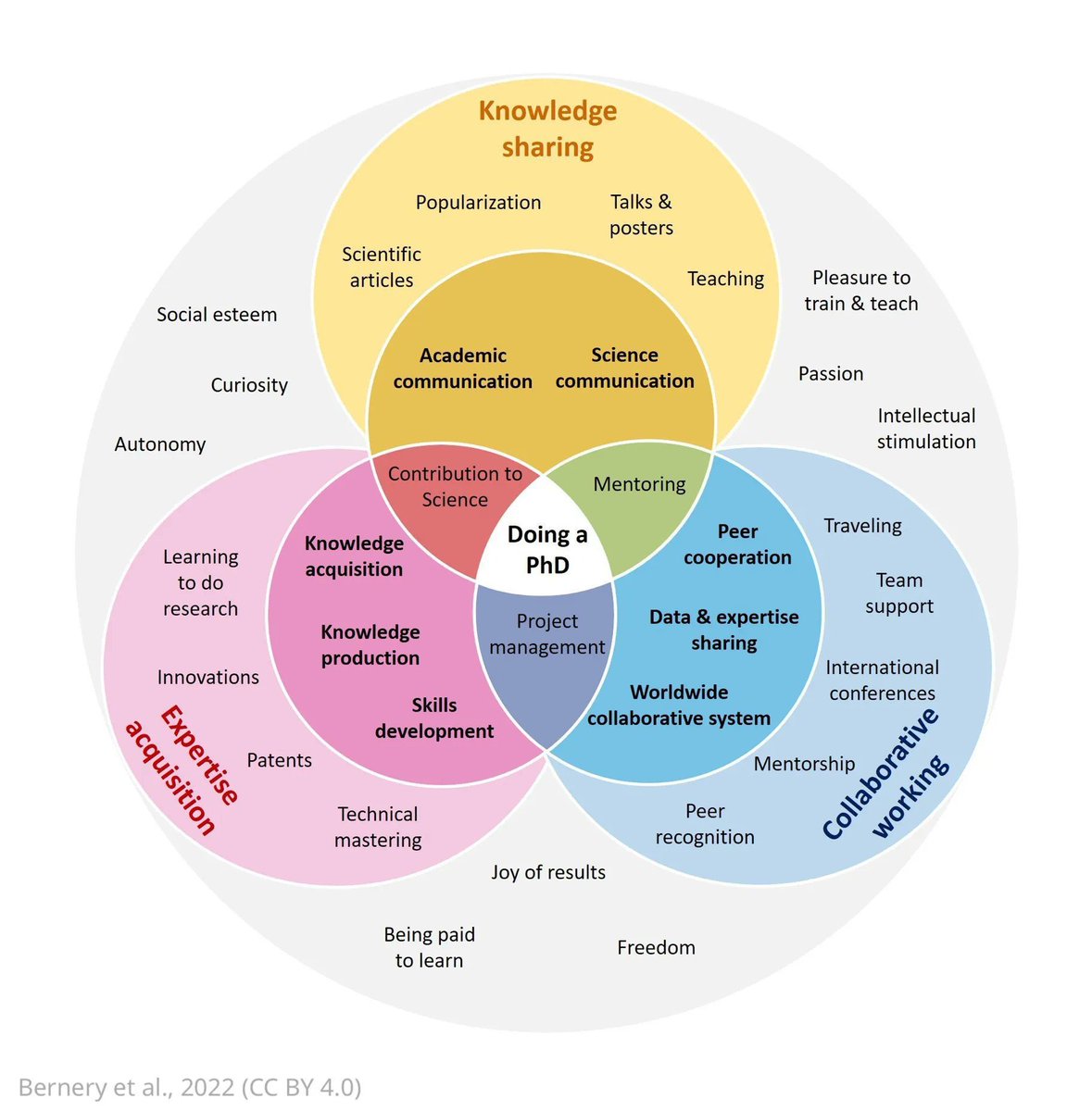 b_echaburu's tweet photo. #PdH desarrollo de otras competencias https://t.co/ySTzs3xmzz