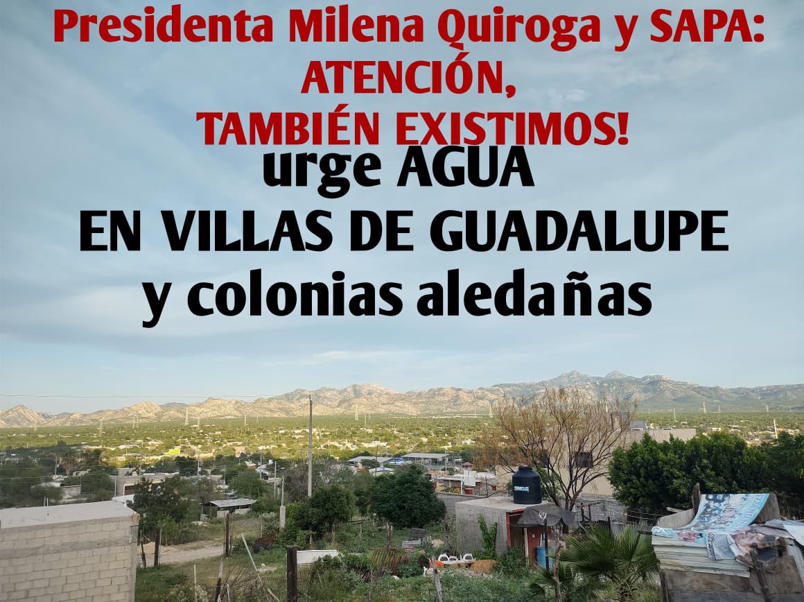 juanito 🇵🇸 tweet media