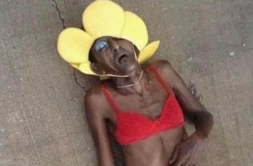 "estás en la flor de la vida"

la flor: