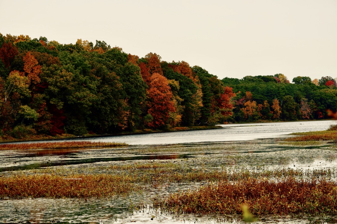 Daily Picture Theme tweet media