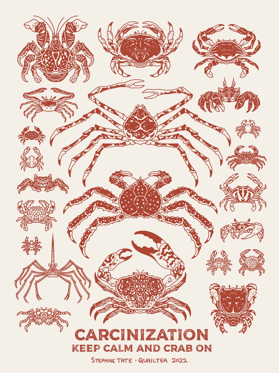 KEEP CALM 🦀 CRAB ON