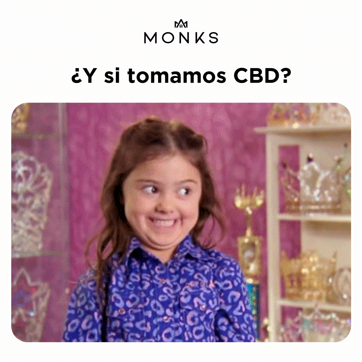 monkslifemx's tweet photo. ¿SIIII? 🤭
#monkslife #meme #cbd https://t.co/AqaNlX6KfX