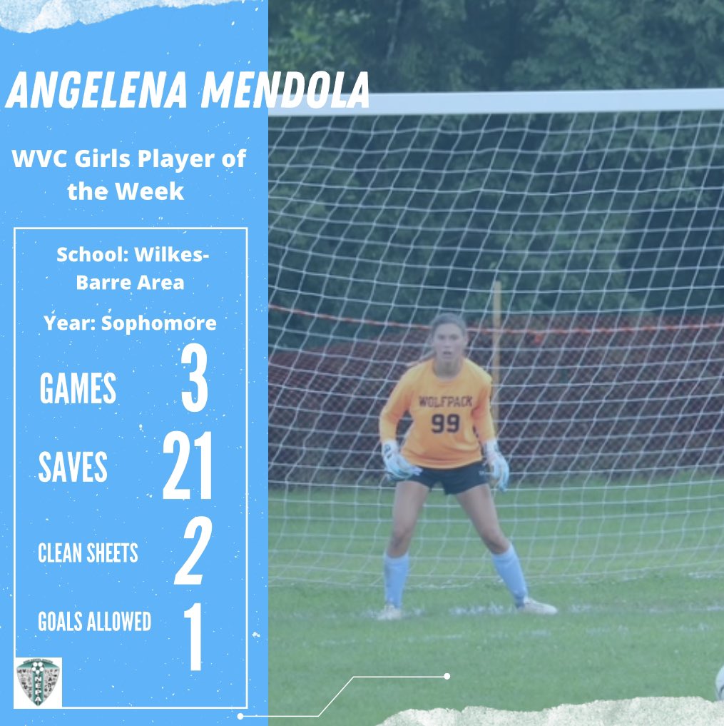 NEPA High School Soccer tweet media