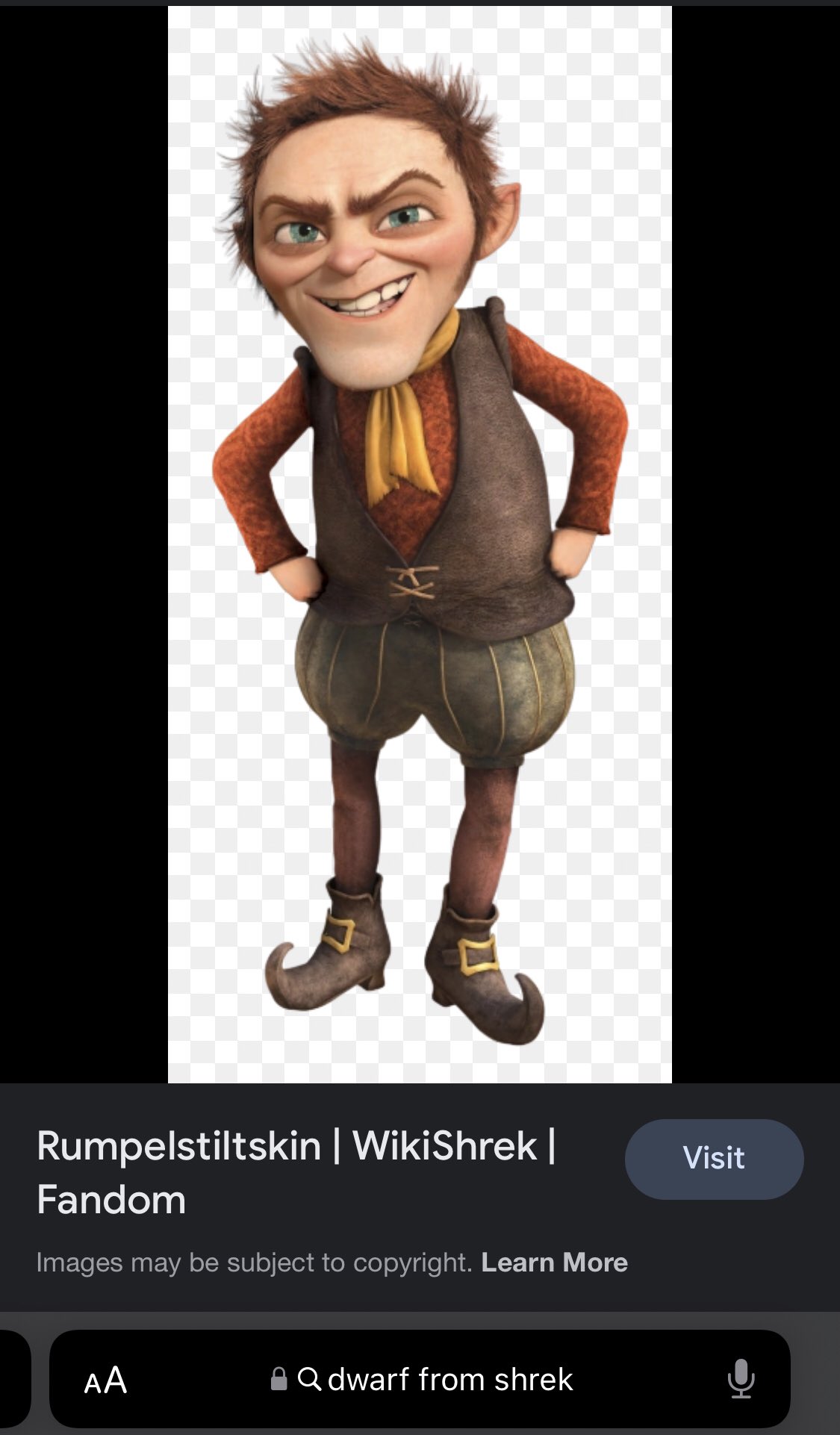 Shrek, WikiShrek