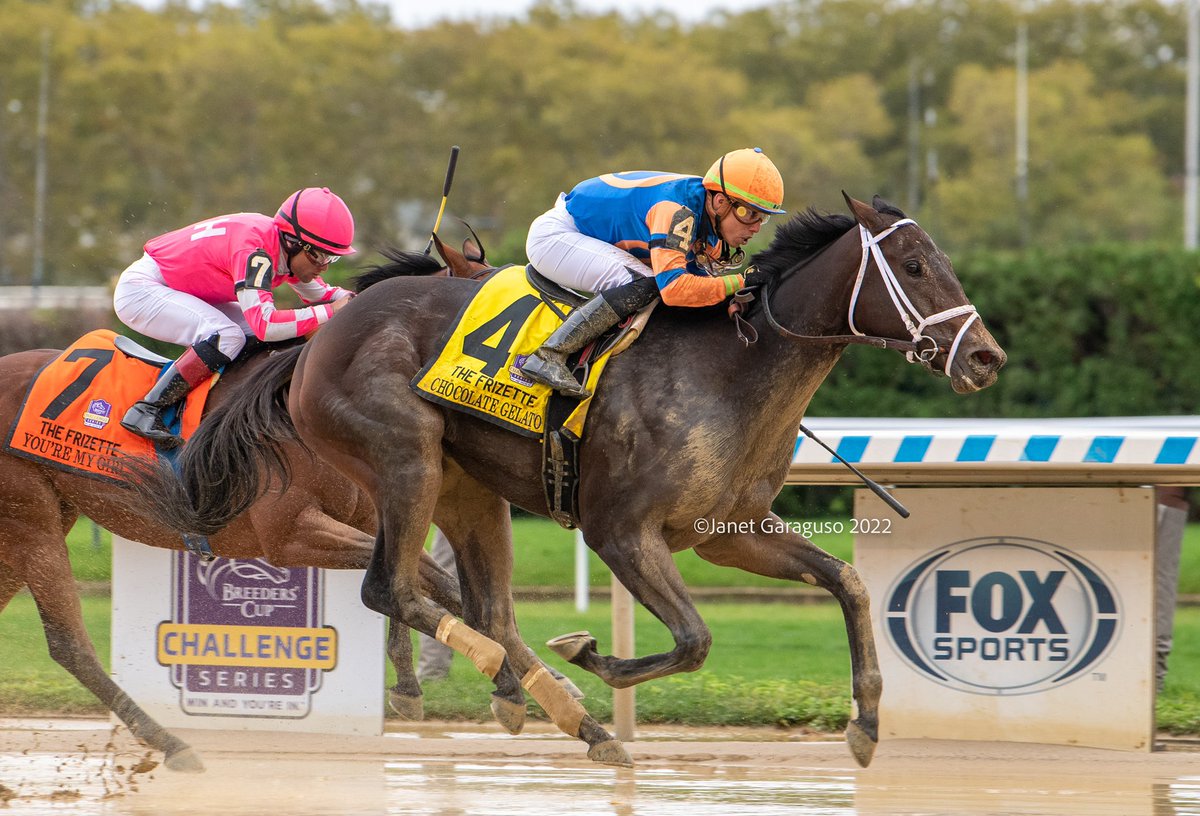jmg27_janet's tweet photo. CHOCOLATE GELATO with @iradortiz aboard in the Gr1 Frizette for @PletcherRacing & Repole Stable #WinandYourin @BreedersCup https://t.co/nq1Y3Rck2x