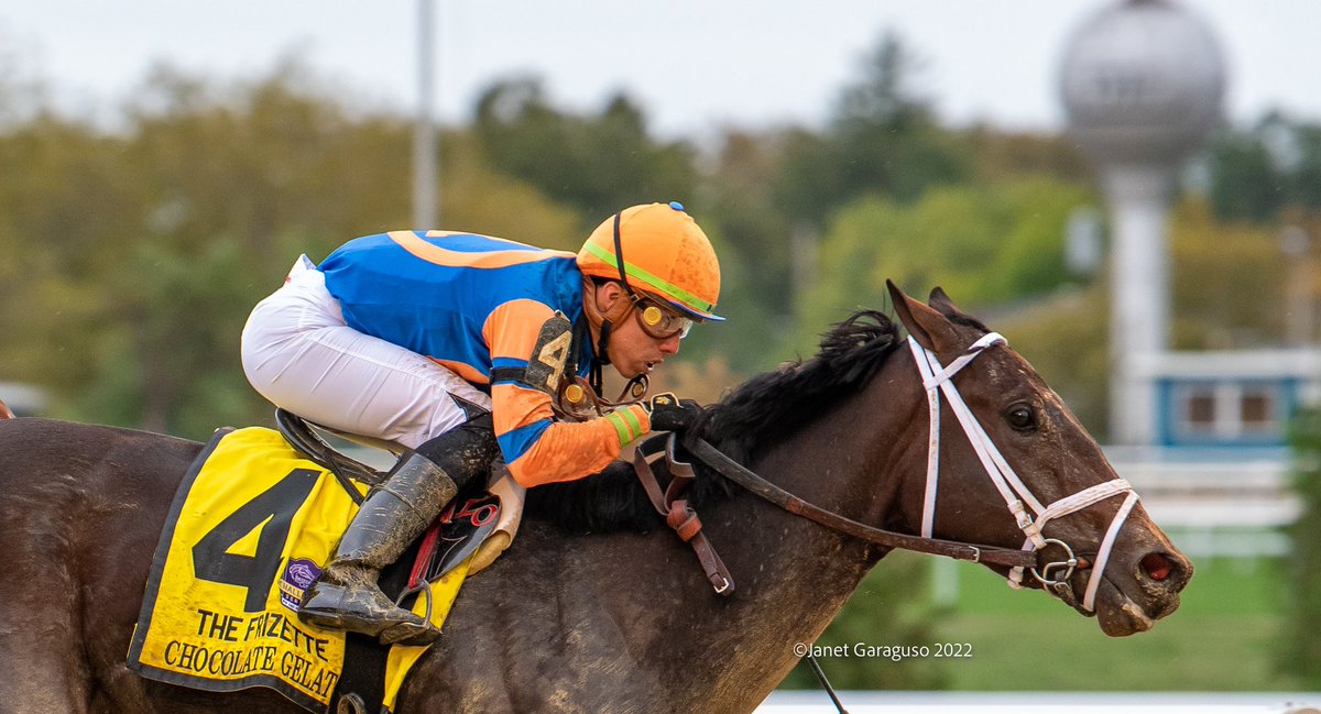 jmg27_janet's tweet photo. CHOCOLATE GELATO with @iradortiz aboard in the Gr1 Frizette for @PletcherRacing & Repole Stable #WinandYourin @BreedersCup https://t.co/nq1Y3Rck2x