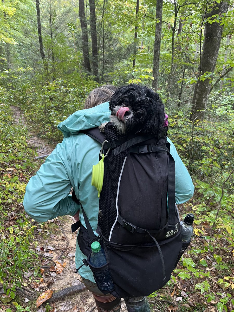 It was Pippin’s 7th birthday today! 💕