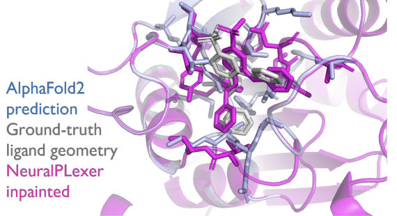 Prof. Anima Anandkumar (@animaanandkumar) on Twitter photo #Diffusion models are effective for protein-ligand structure prediction with equivariant transformers. Our method NeuralPLexer accurately inpaints binding site while using #alphafold doesn't. <a href="/ZhuoranQ/">Zhuoran Qiao / 乔卓然</a> <a href="/wn8_nie/">Weili Nie</a> <a href="/ArashVahdat/">Arash Vahdat ✈️ ICML2025</a> <a href="/tfmiller3/">Thomas Miller</a> #Diffusion models are effective for protein-ligand structure prediction with equivariant transformers. Our method NeuralPLexer accurately inpaints binding site while using #alphafold doesn't. <a href="/ZhuoranQ/">Zhuoran Qiao / 乔卓然</a> <a href="/wn8_nie/">Weili Nie</a> <a href="/ArashVahdat/">Arash Vahdat ✈️ ICML2025</a> <a href="/tfmiller3/">Thomas Miller</a>