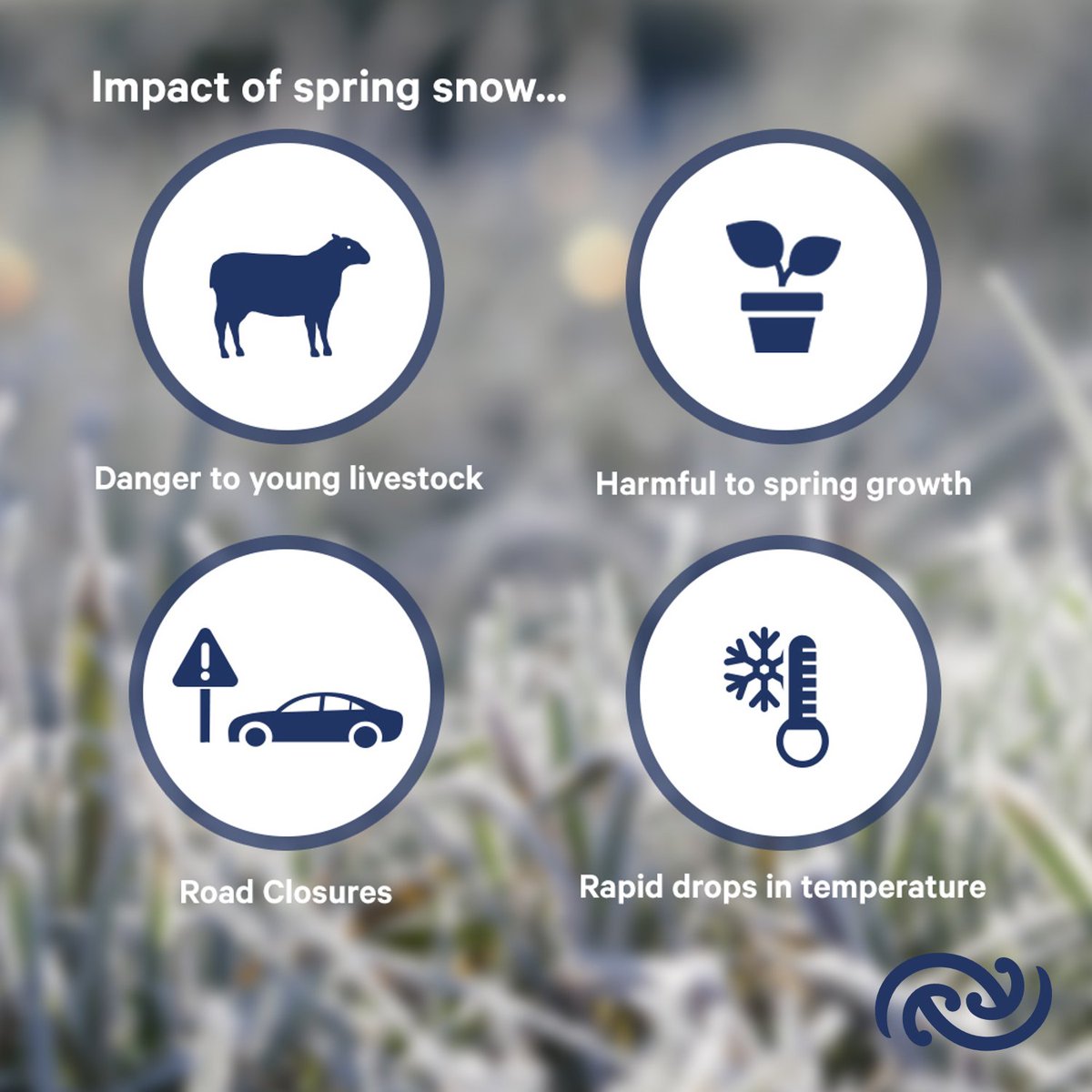 Cold temperatures and spring snow can bring issues to livestock and new growth as well as disruptions to travel.

As well as watching the forecasts keep up with @WakaKotahi_news journeys.nzta.govt.nz to help plan your journeys.
