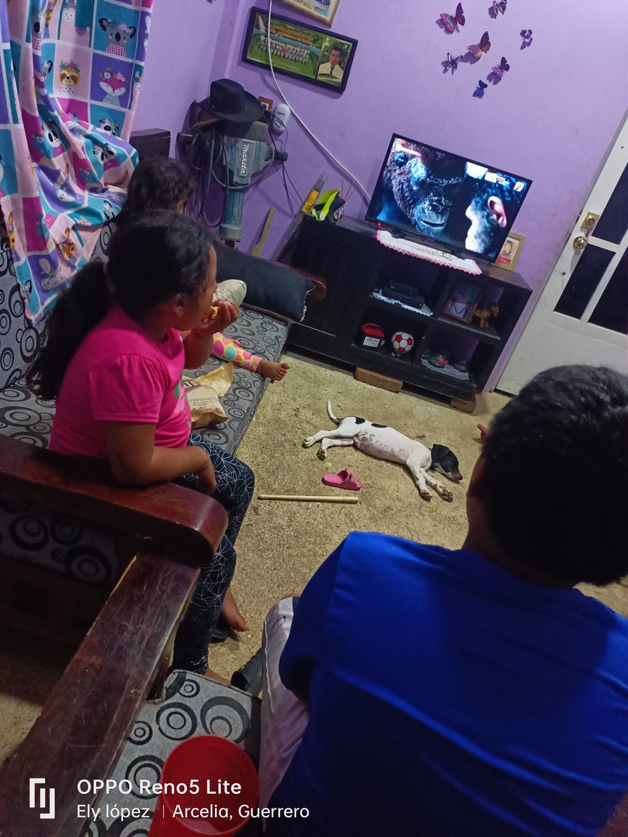 BuuLopez's tweet photo. #changos con bendiciones viendo la peli 😊 https://t.co/ytD2zXJ52m