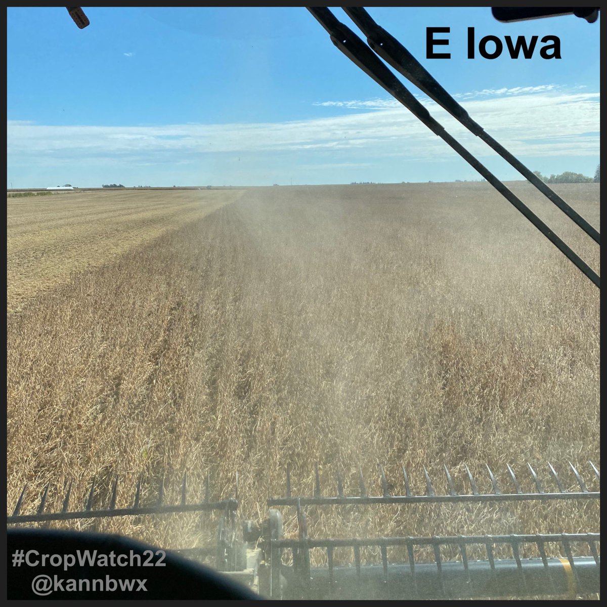 kannbwx's tweet photo. #CropWatch22 harvest scenes from this weekend. This past week (through Sunday), CW #soybeans were completed or partly completed in southeast IL, Indiana, South Dakota, Minnesota, eastern Iowa and Kansas - 6 of the 11 total. https://t.co/gU94zOfoQm