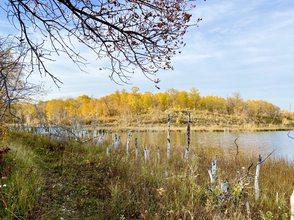Beautiful fall days #GillisLake #MooseMountains