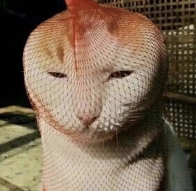 Dream deadass made his fans wait just for him to be ugly and a default character. 

Keep the mask, man!

(I hate groomers)