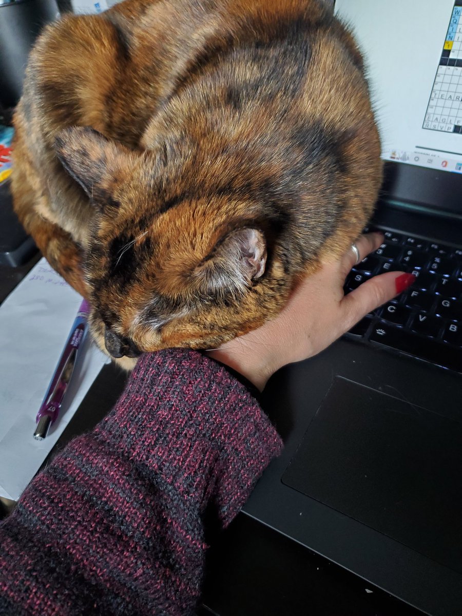 CatMomSays's tweet photo. Got a lot of help on the Sunday crossword this morning. #CatMom #CatMomSays #HelpfulKitten #StillMyKitten #CatsOnComputers #CrosswordKitty #CatsOfTwitter #CatsOnTwitter #Cats #Cat https://t.co/LaJbJJ6w0s