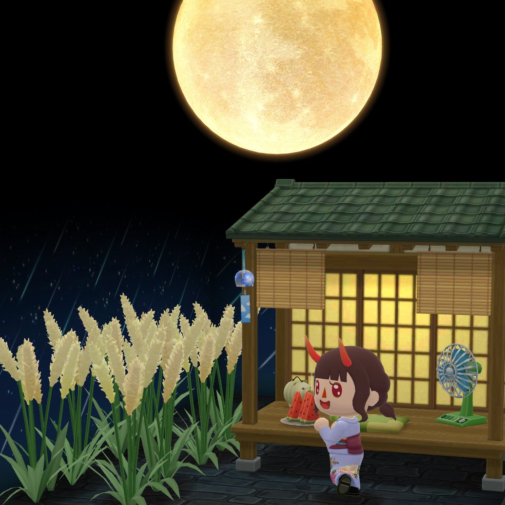 #acpc #PocketCamp #AnimalCrossing #AnimalCrossingPocketCamp