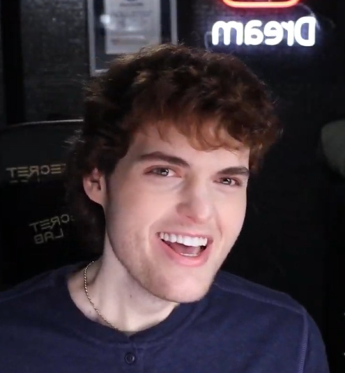 hi guys im dream i like to eat balls like big big balls + i have no dad so im crying rn