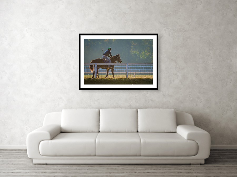 A beautiful image that captures the equine love that can be found in Aiken, South Carolina.

Find it here: johnkirkland.pixels.com/featured/morni…

#GiftThemArt #BuyIntoArt #SouthCarolina  #southcarolinaliving @Discover_SC #aikensc #onlyinsouthcarolina #discoversouthcarolina