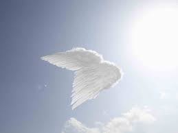 #infinity #angels #theturning
Too often..STRUCK.. to soften passage angles, feathers fell enlightening !! Miracle DARK: anGels ✨🌙 LadyP #settleddust #thefireisok #faitharrestingthesun #settlingtwistoffaith #ladypproduction #faithis #hopeis #miracles