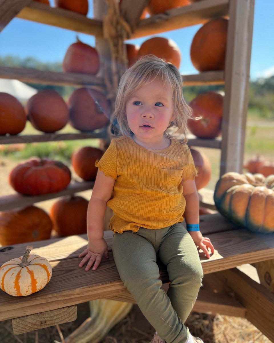jennyclary_yoga's tweet photo. Took the Pia to a pumpkin patch ☺️
#sweeteatsfruitfarm
#sweetPia #thisis2 #pumpkinpatch #fallfestival https://t.co/2jJ63eiMfo