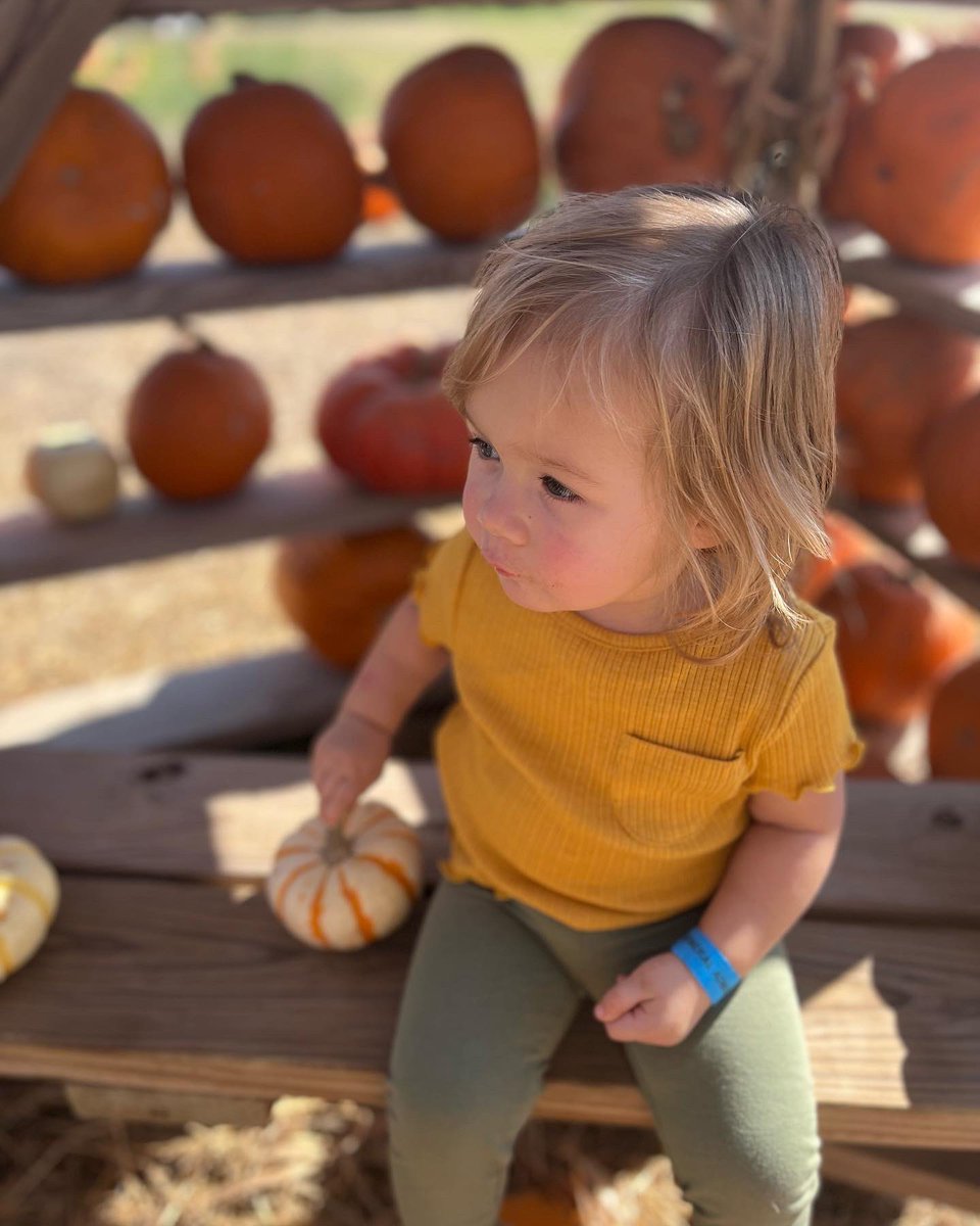 jennyclary_yoga's tweet photo. Took the Pia to a pumpkin patch ☺️
#sweeteatsfruitfarm
#sweetPia #thisis2 #pumpkinpatch #fallfestival https://t.co/2jJ63eiMfo