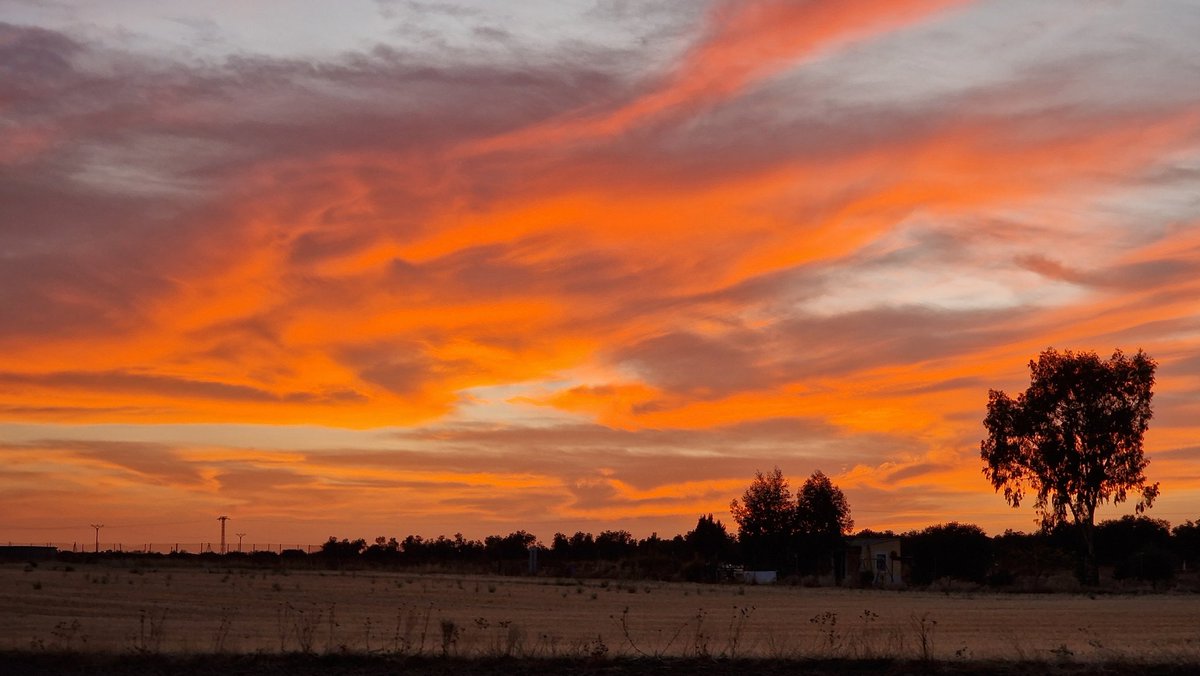 Atardecer Mágico

#Domingo #Illescas
#Campos #Caminos
#atardeceresmagicos 
#rutasconencanto
#RutaAtardecer
#atardeceresbonitos
#atardeceresúnicos
#atardeceresporelmundo 
#atardecerinolvidables #senderismo #Caminar #fotografiamovil  #Paisaje #fotografiapaisaje #Naturaleza #Relax