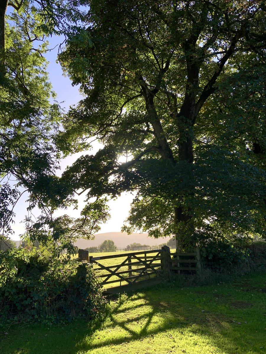 ellachloeswims's tweet photo. Fantastic weekend immersed in writing practice &amp; creativity with @sophiepierce and @tanyashadrick - two women I’ve long admired. Was wonderful to meet other emerging writers &amp; support each other’s book projects. Stunning location thanks to @causleytrust Managed a dip or two also. https://t.co/zBqbOGF2FO