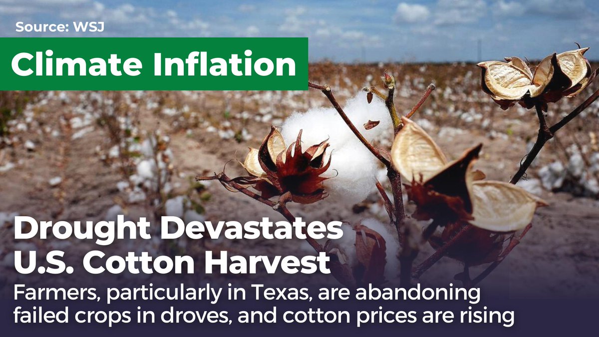 ChangeUSChamber's tweet image. #ClimateInflation is hitting the world’s economies and driving up prices of everyday goods, including in Texas where droughts decimated some 40% of cotton crops. As global temperatures rise due to #ClimateChange, we can expect the price of clothing and other goods to rise.