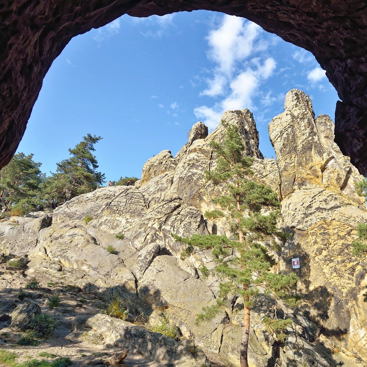 ReiselandHarz's tweet photo. Das Naturdenkmal Teufelsmauer verläuft im nördlichen Harzvorland von Blankenburg über Weddersleben und Rieder bis nach Ballenstedt und weist eine Länge von rund 20 Kilometern auf.
#ReiselandHarz #Harz #Teufelsmauer #SachsenAnhalt #Felsen #Felsformation #Landschaft #Naturdenkmal https://t.co/EyRC07XATq