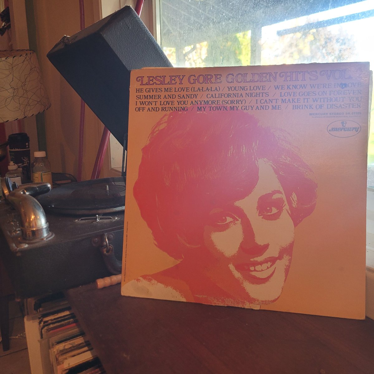 Lesley Gore isn't underrated. She just keeps the riff-raff away. #lesleygore