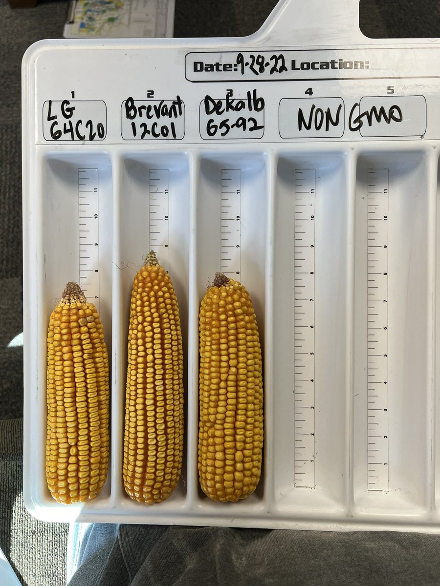 Allen Wiseman tweet media