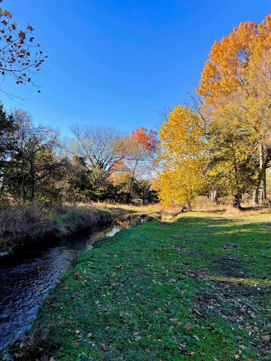 SalineCabin's tweet photo. Itโs fall, yโall! ๐ฟ๐๐ฒ๐๐ณ The most beautiful time of the year to come visit us in Rose, Oklahoma! ๐ป
.
.
.
.
.
.
.
#SalineCabin #RoseOk #MayesCounty #FallYall #FallFoliage #FallBreak #OklahomaOzarks #TravelOK #OkHereWeGo #VisitOklahoma #VisitCherokeeNation #OklahomaDayTrips https://t.co/nnnkznMTM8