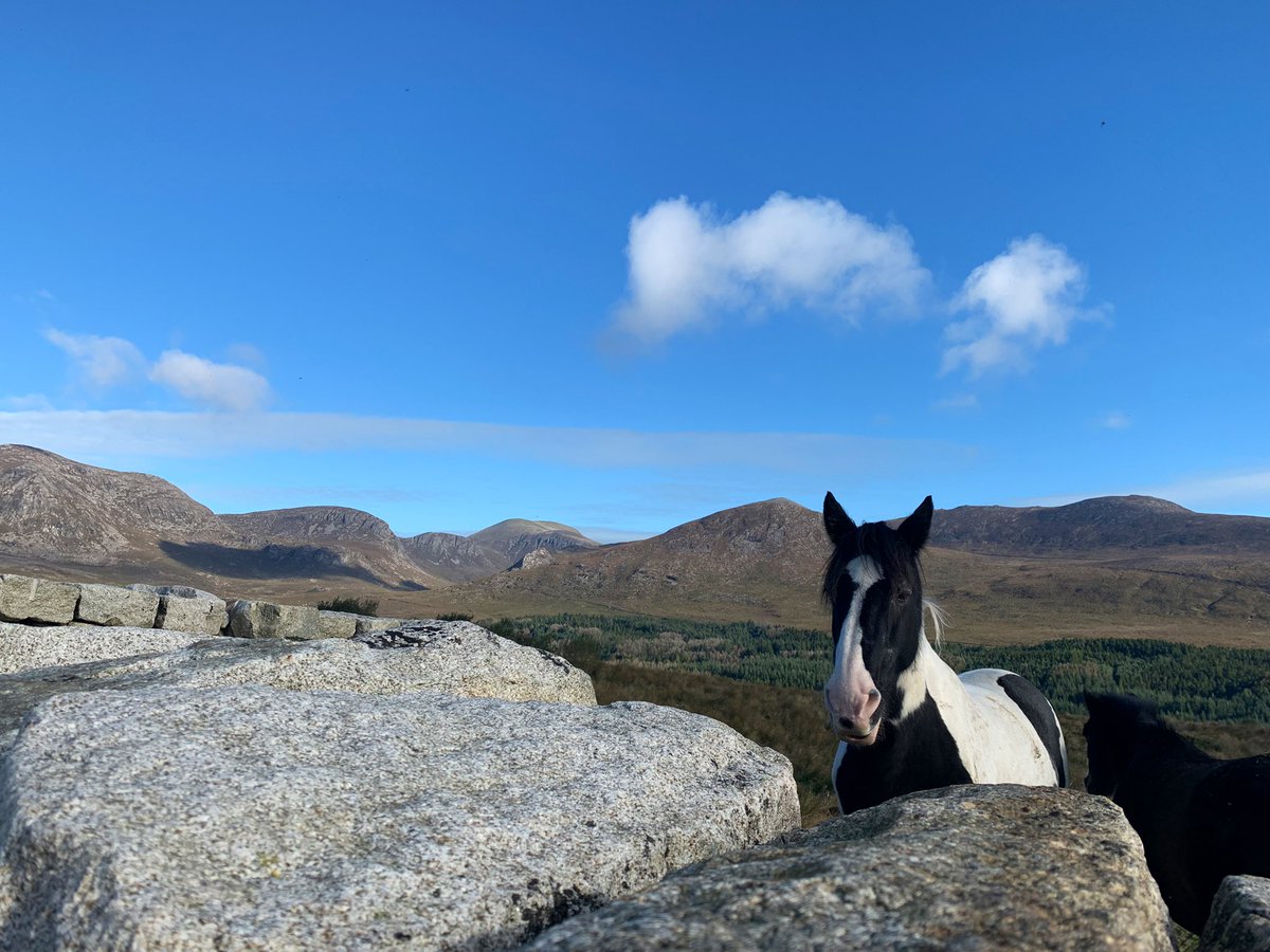 Ticketybooo's tweet photo. Annalong Valley @WeatherCee @barrabest @deric @Louise_utv @visitmourne @MourneDaily @Mournelive @WalkNI @DiscoverNI @DiscoverIreland #mournes #hikinghens #bluelough #codown #narnia #horses #NatureBeauty #bluesky #mountains #river https://t.co/CpTPlkGGmW