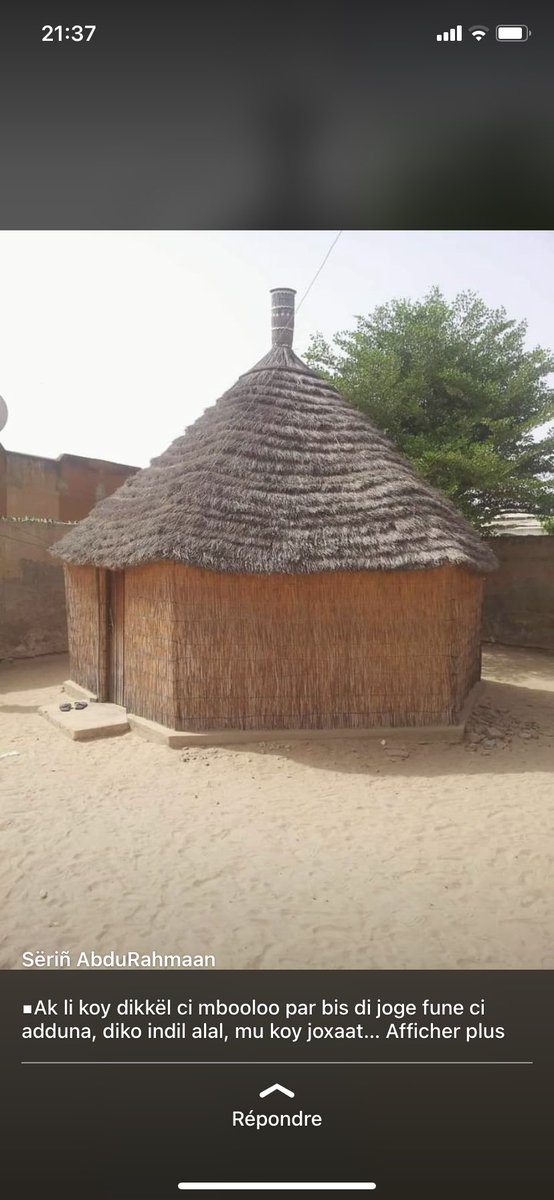 SSaliouDiop's tweet image. Fiii moo nekkoone neegub Seriñ Abdu Rahmane Mbackee .