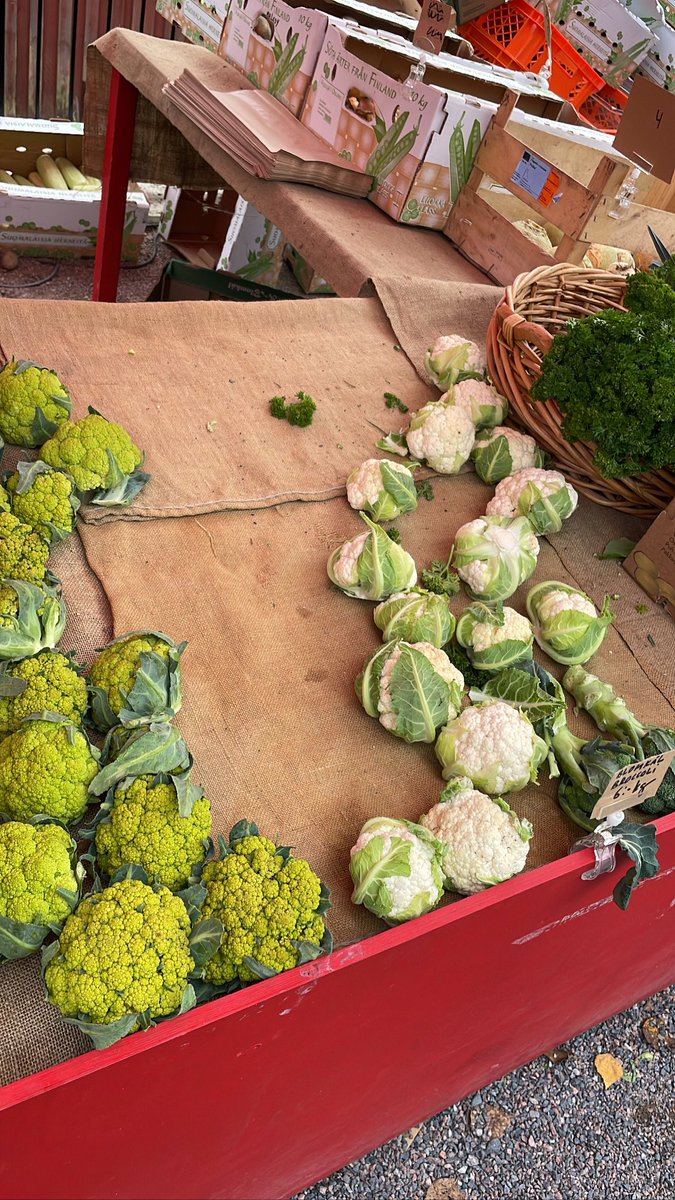 Juuso_R's tweet photo. Fiskars Slow Food Festival kuuluu syksyyn, mukavaa että se on jälleen vahvana takaisin. Lähiruokapuhetta @ @FiskarsVillage 🍗🥕🚜 #kotimaisuus @HyvaaSuomesta https://t.co/dlzxnY2uJy