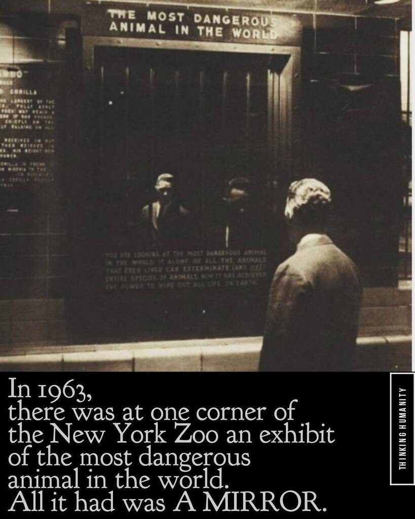 REAL ROCK SHOW tweet media