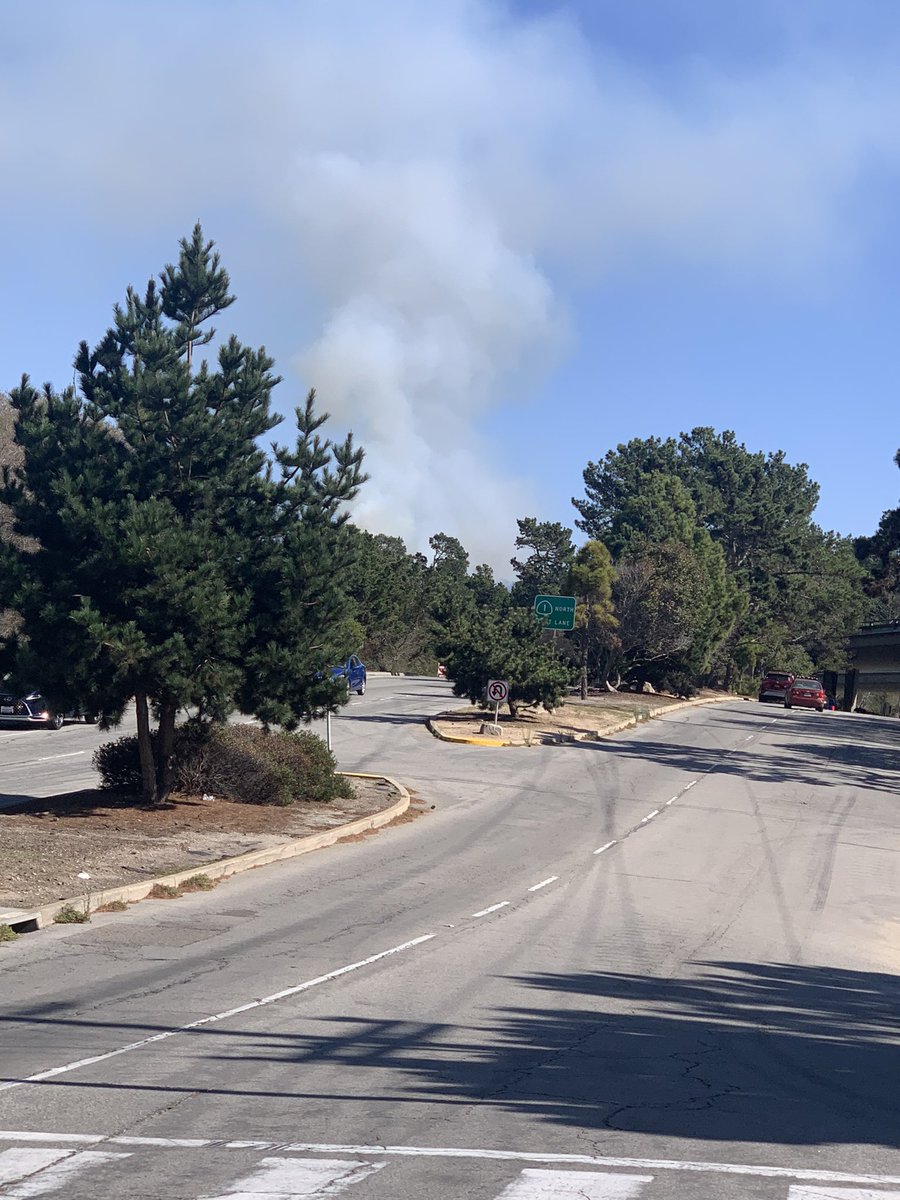 ruinationipa's tweet photo. #aguajitofire https://t.co/FfT93jUSBk