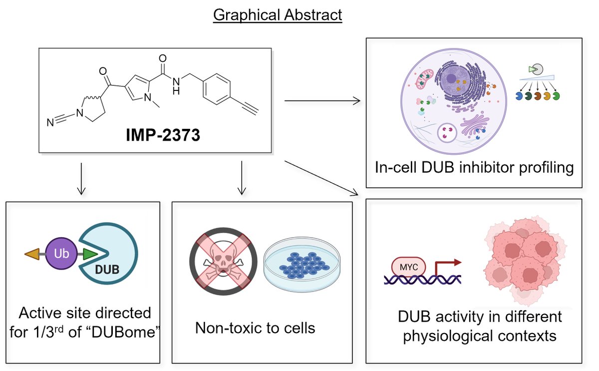 Daniel Conole tweet media
