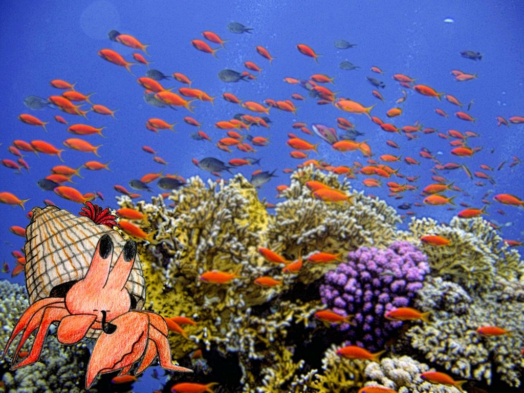 CBioNum's tweet photo. [Flashback #CBioNum] Mystère à Coral Street https://t.co/Db7sL1YXj6 https://t.co/Qyol8SiRFn